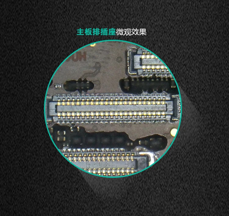 wl microscope5