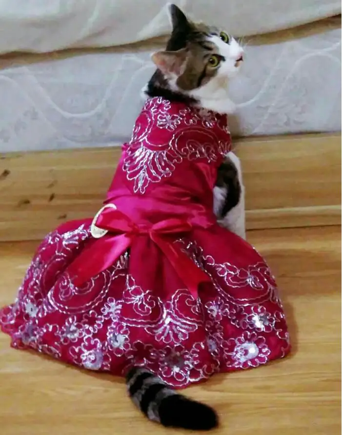 Роскошное собачье свадебное платье принцессы, кружевные платья для домашних животных, кошек, тюлевые платья Тедди с юбкой для маленьких кошек, собак