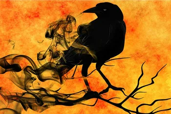 

CAMMITEVER Diamond Embroidery 5D DIY Diamond Painting Animal Black Bird Crow Diamond Painting Cross Stitch Rhinestone Mosaic