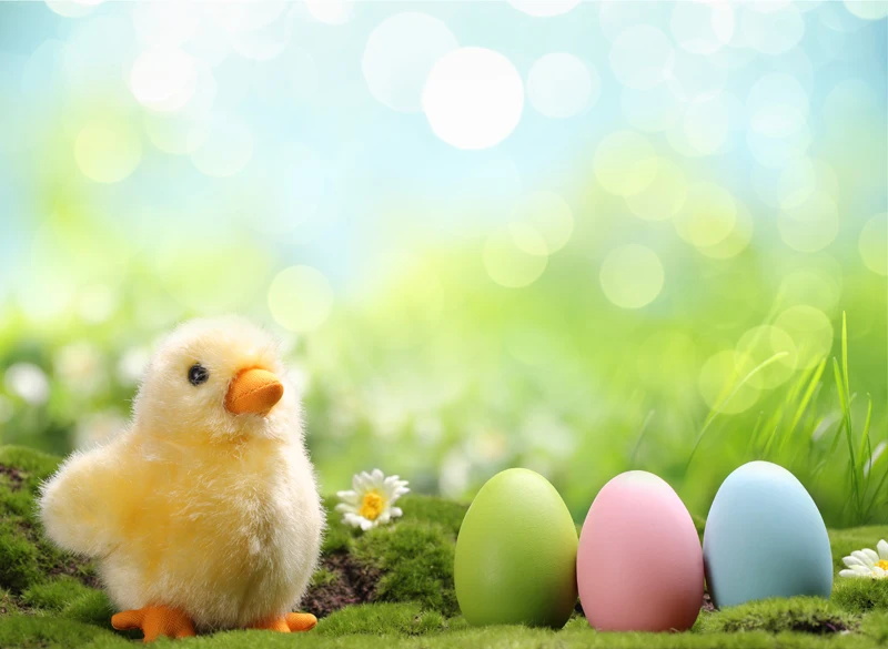 HUAYI Art Fabric Happy Easter Backdrop Photography For Newborn Background XT-5488 | Электроника