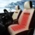 Asiento de coche de invierno cojín de calefacción eléctrica, asiento de coche, cisne cabello, individual y dos cojín del asiento cojín de calefacción