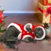 Christmas Cat Clothes Small Dogs Cats Santa Costume Kitten Puppy Outfit Hoodie Warm Pet Dog Clothes Clothing Accessories ► Photo 2/6