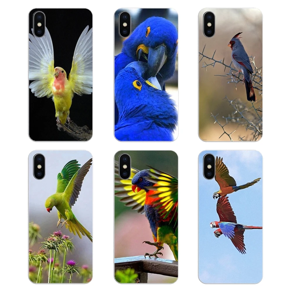 

For Huawei Honor 7X V10 6C V9 6A Play 9 Mate 10 Pro Y7 Y5 P8 P10 Lite Plus GR5 2017 Blue Ringneck Parrot Silicone Phone Bag Case