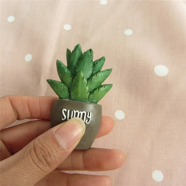 Cute Cactus Succulent Plants Fridge Magnets - 9