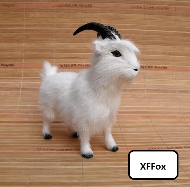 HTB1AfAcLFXXXXbFXFXXq6xXFXXXe