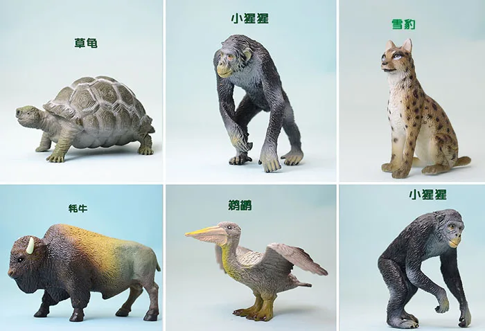 Solid animal model toys Animas! Tortoise  small or...