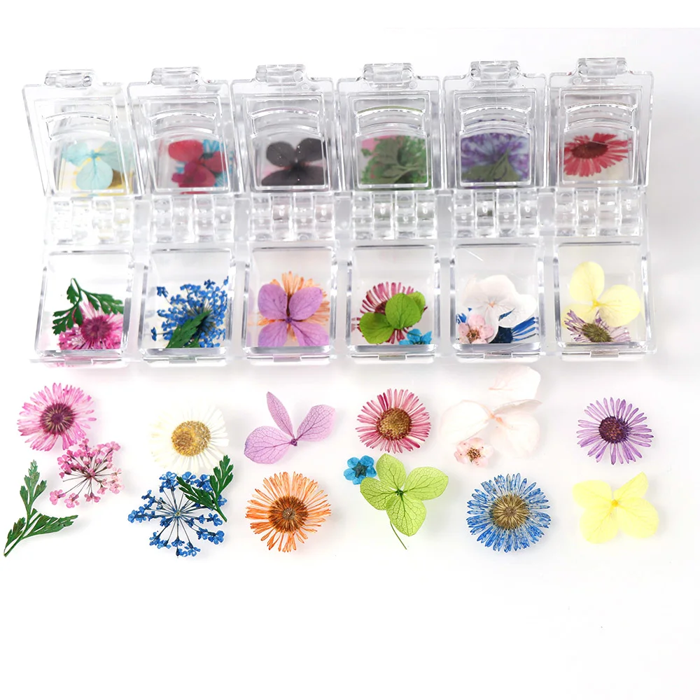 

Japanese Dried Flowers 12 Petals Real Flower Eternal Flower Photo Therapy Crystal Box For UV Resin Epoxy Mold Decoration