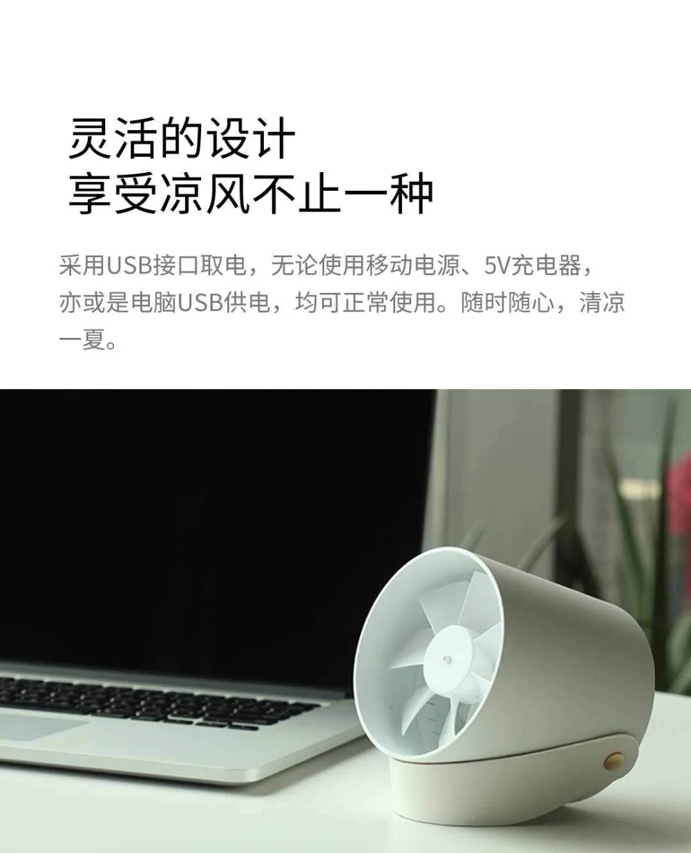 fan (1)