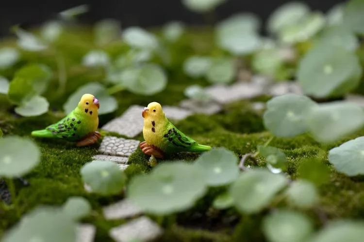 2142733435_393786582