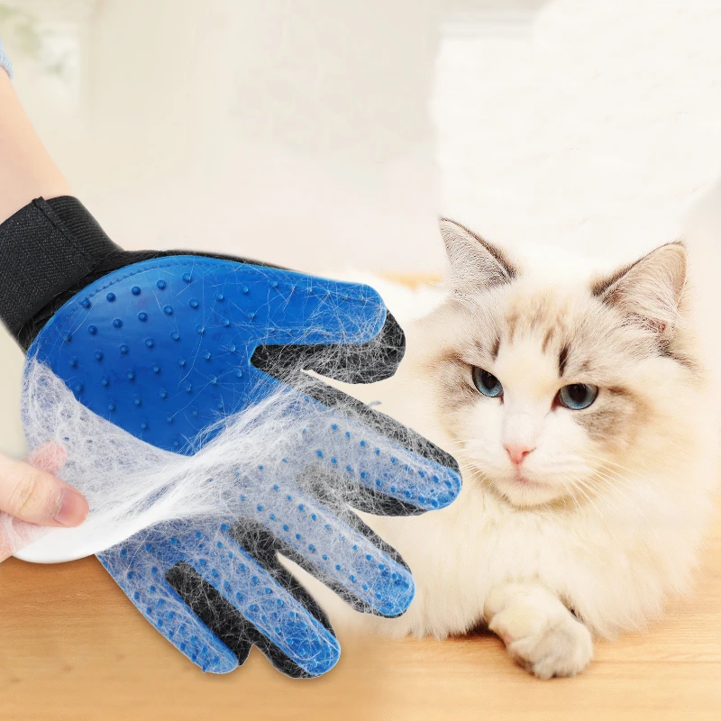 cat washing gloves