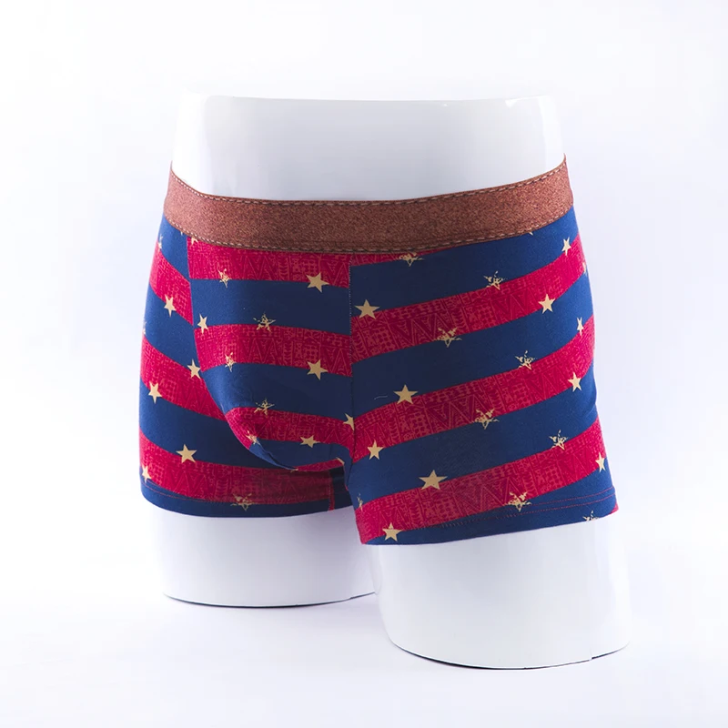 2017 Brand Underwear Men Sexy Panties Men's Loose Panties Mens Underwear Trunks Underpants Boxer Cueca Calvn Boxer Hombre02