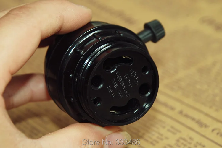 GU242750_3
