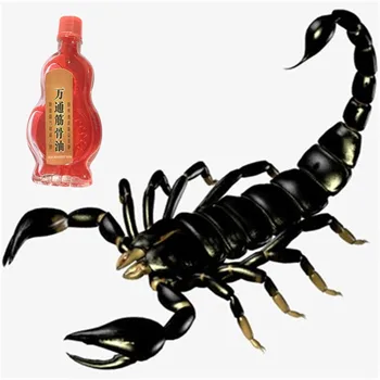 

Magical Effect Cobra venom Plaster 1Pcs Pain relief Essential oil orthopedic plasters analgesic patches cure rheumatism
