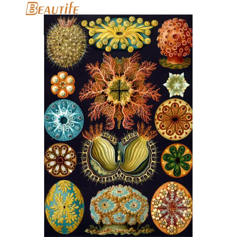 Изготовленный На Заказ энст haeckel Морская жизнь шелковая ткань плакат украшение