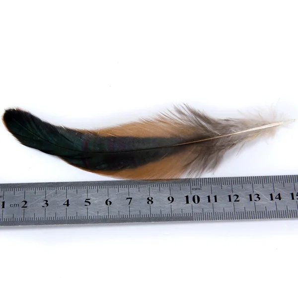 50PCS Natural Decoration Cock  Feather Idea For Costumes, Hats, Home