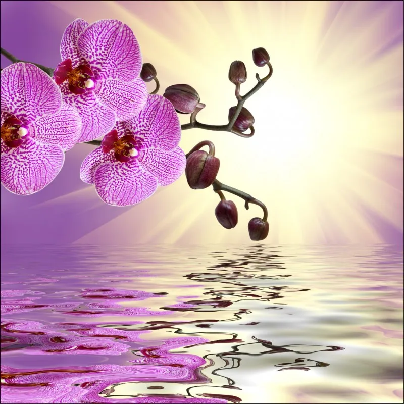 stickers-lave-vaisselle-ou-magnet-lave-vaisselle-orchidee (1)