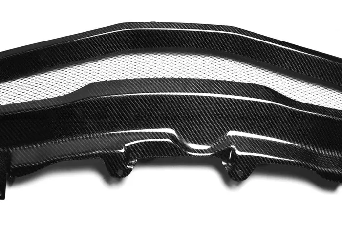 07-11 Civic FN2 Type R Front Grill(1)_1