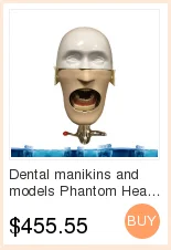 Dentários e Modelos Head para o Ensino e Aprendizagem em Aulas Modelo de Estudante Manequins Phantom Dentárias Dental 16 o ensino e aprendizagem em aulas dentárias modelo de estudante dental