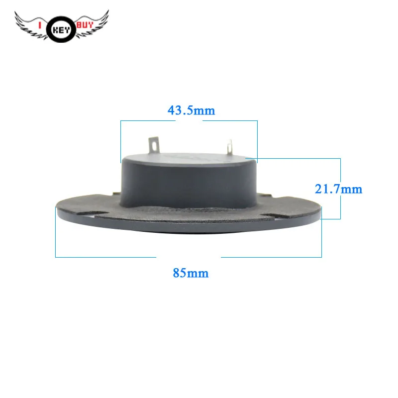 Tweeter Speaker31
