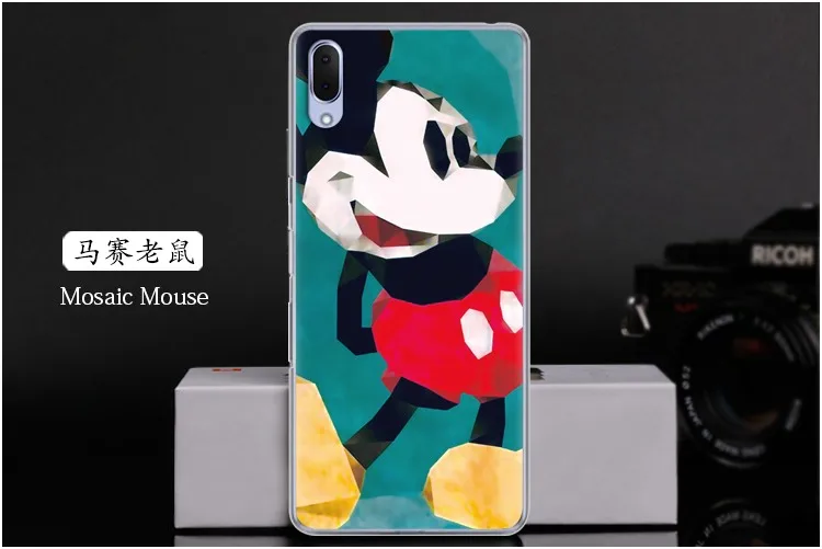  Mosaic Mouse