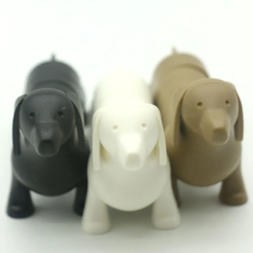 dog-5