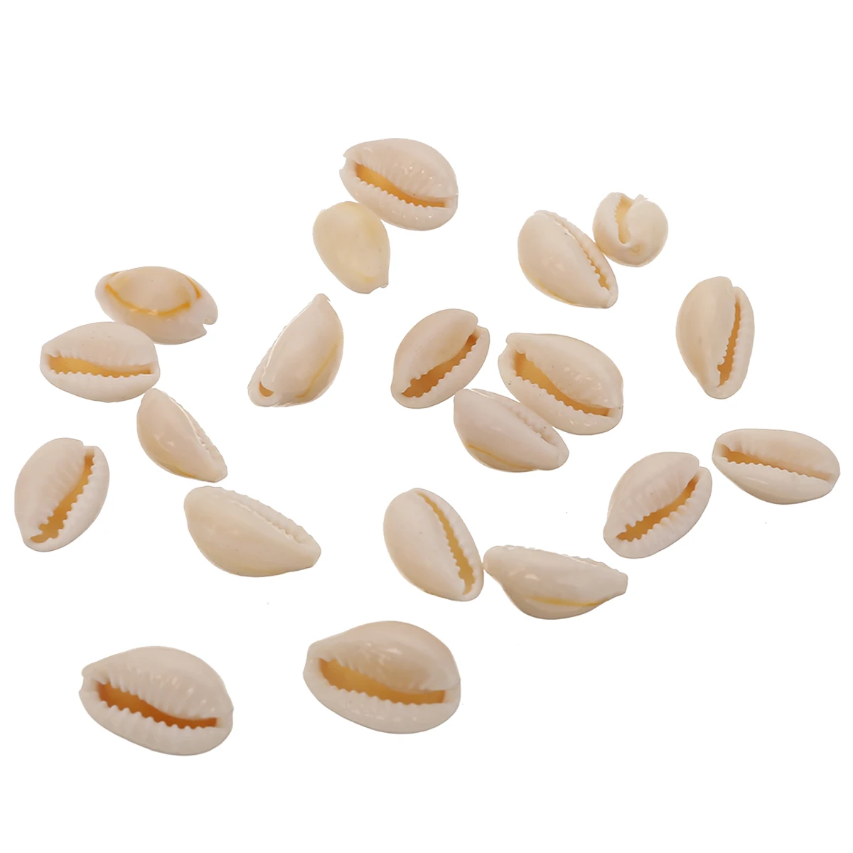20pcs Natural Beach Sea Shell Craft Conch Shell For Home Decor Ornaments DIY Material Jewelry Pendants Mayitr