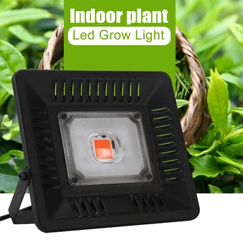

Phytolamp For Plants Lamp COB LED Grow Light Full Spectrum Fower Seeds Range Lamp 50W AC 220V 110V Waterproof For Tent Box