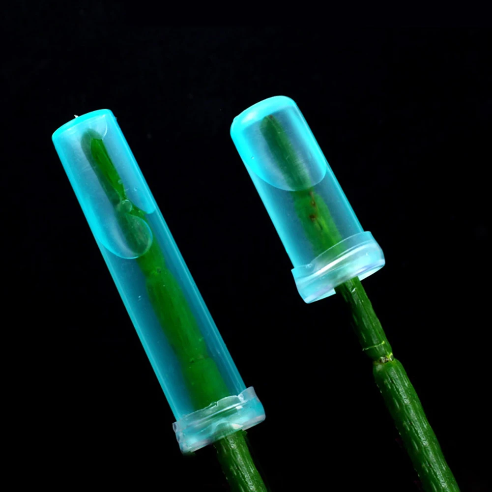 флористическая пробирка для цветов. колбы для цветов пластиковые. флористические трубочки. колба для цветов пластиковая. флористический удлинитель.