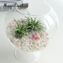 Круглый прозрачный стеклянный цветочный вазы аквариум шар чаша цветок плантатор гидропоники горшок Террариум с домашний декор подставка орнамент