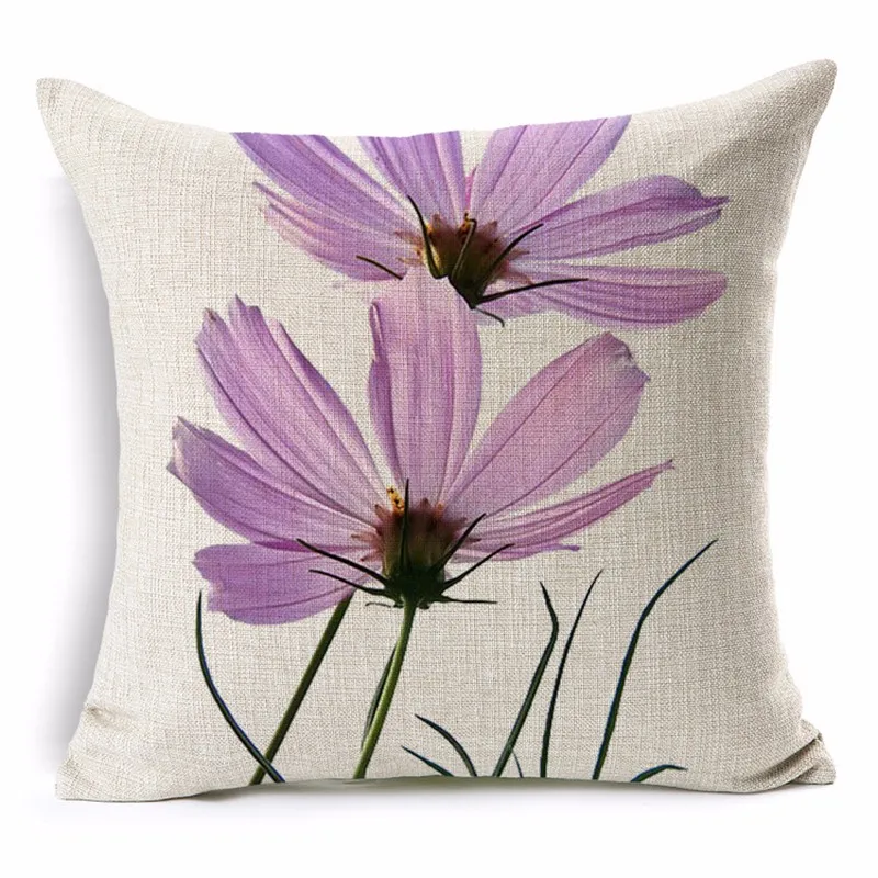 cushion800px-S8