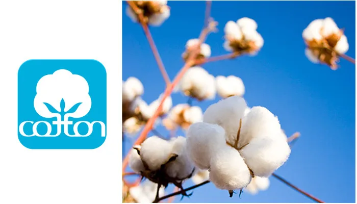 Top Cotton