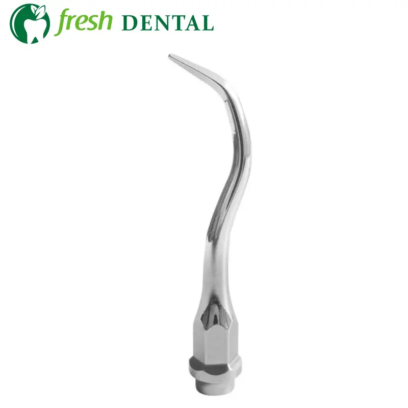 10PCS Dental Ultrasonic Scaler Tips PC1 11 Dental Ultrasonic