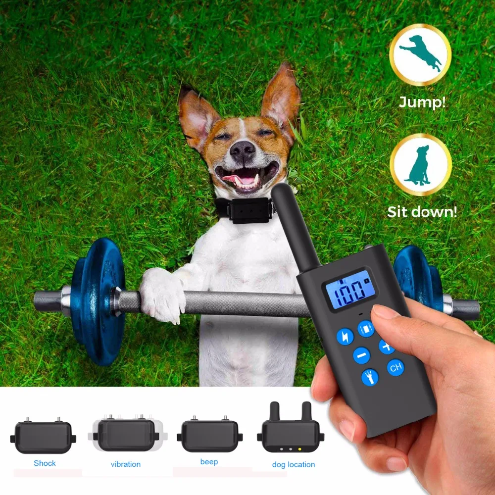 26568098899522561