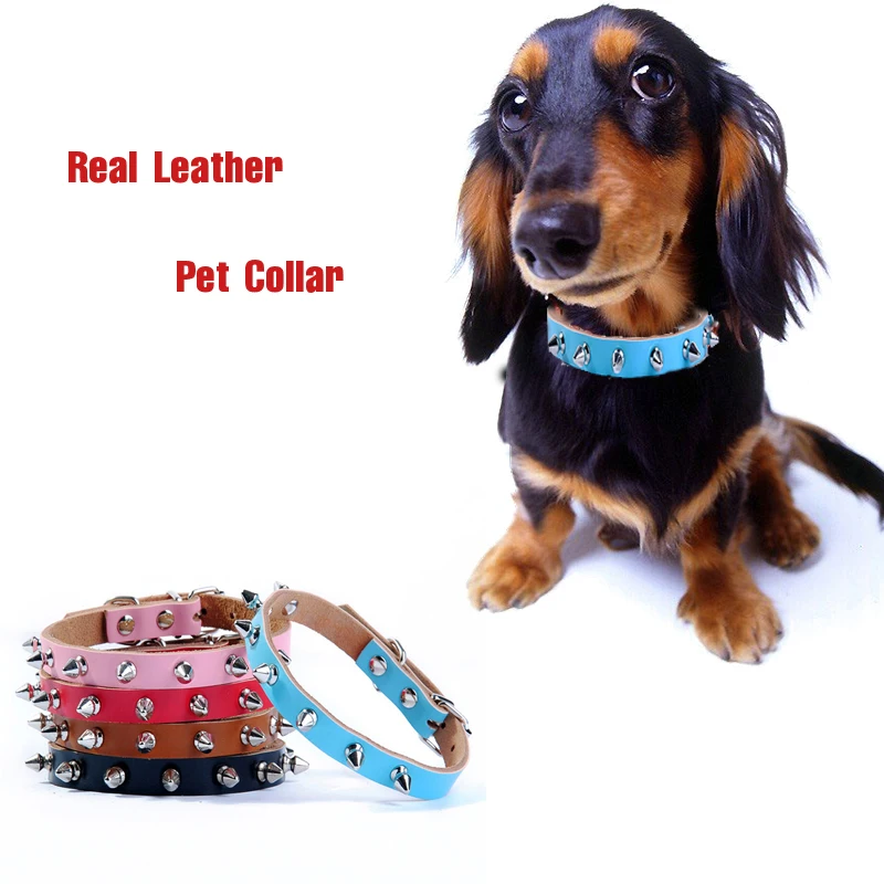 Classical Pet Genuine Real Leather Spiked Dog Collar Punk Studded Small Large Dog Collar Bichon
