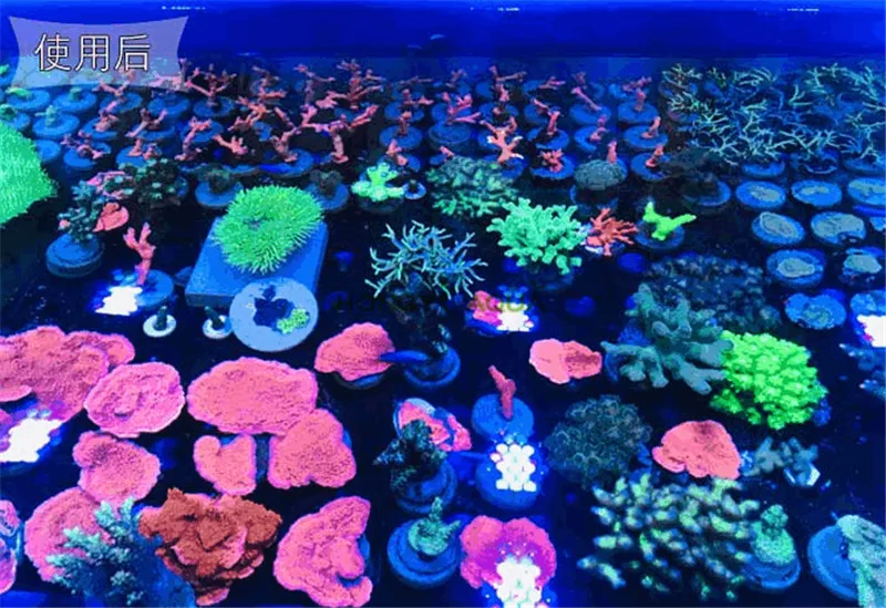 Морская камера фильтр аквариумные коралловые майка синие мобильного телефона фильтр-аквариум мобильного телефона специальный фильтр Бог объектив Explosion