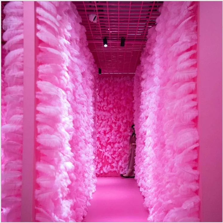 Белые Розовые страусиные перья Свадебные сувениры День Рождения украшения 2.4m2.4m перо стены фоны фото pops