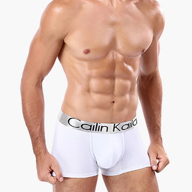 NIBESSER-Modal-Underwear-Men-s-Boxers-Breathable-Quick-Dry-Boxer-Man-Underwear-Cueca-Boxer-Men-Panties.jpg_.webp_640x640 (8)