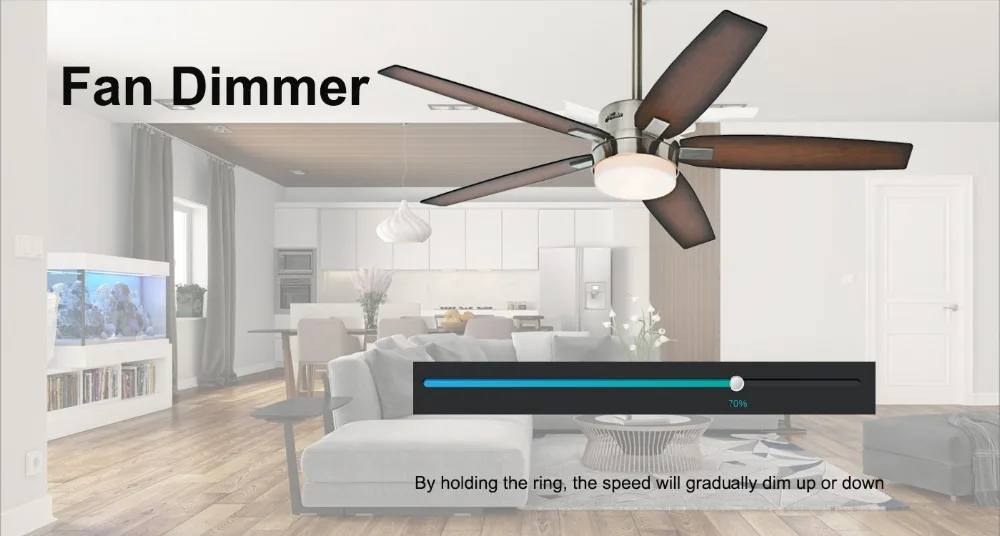fan
