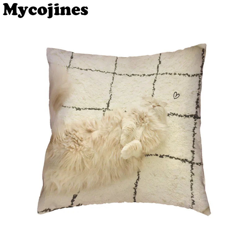 6462 (2)