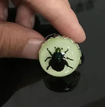 

FREE SHIPPING 10 pcs Vintage Lovely glow in the dark round style real green beetle insect vogue ring