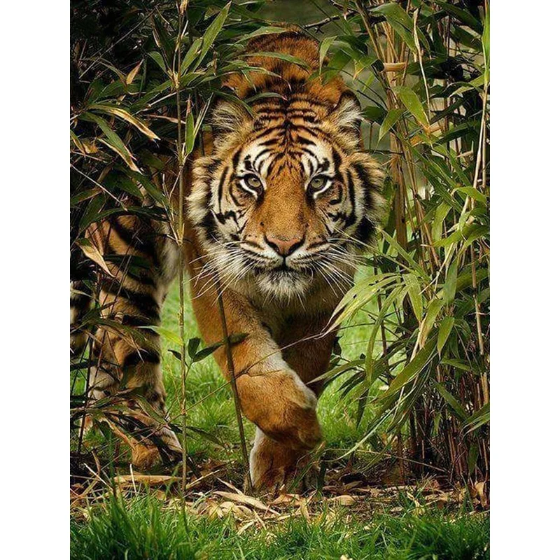 

Full 5D Diy Daimond Painting Cross-stitch Tiger 3D Diamond Mosaic Full Round Rhinestones Paintings Embroidery Mosaic Decor