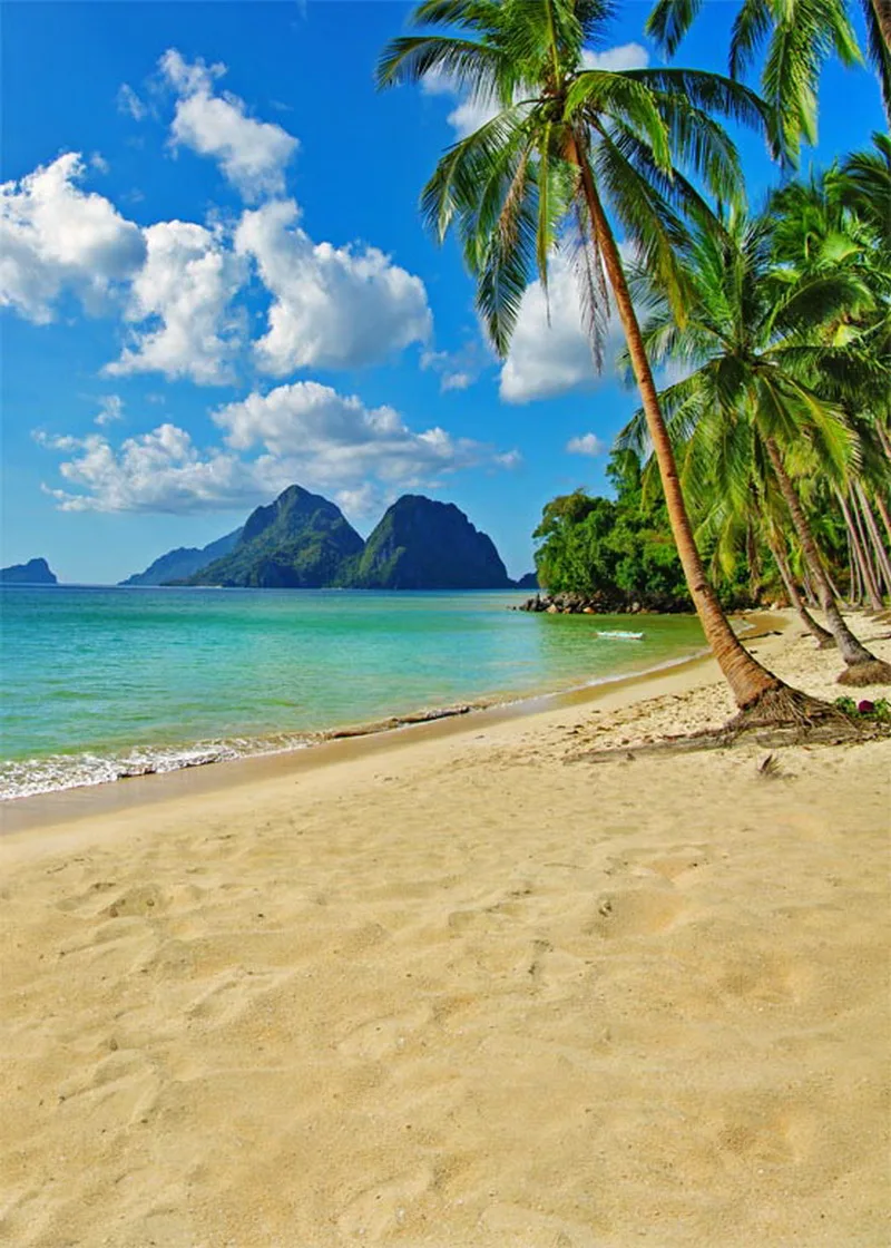 Zee strand  palm bomen fotografie  achtergronden vinyl 