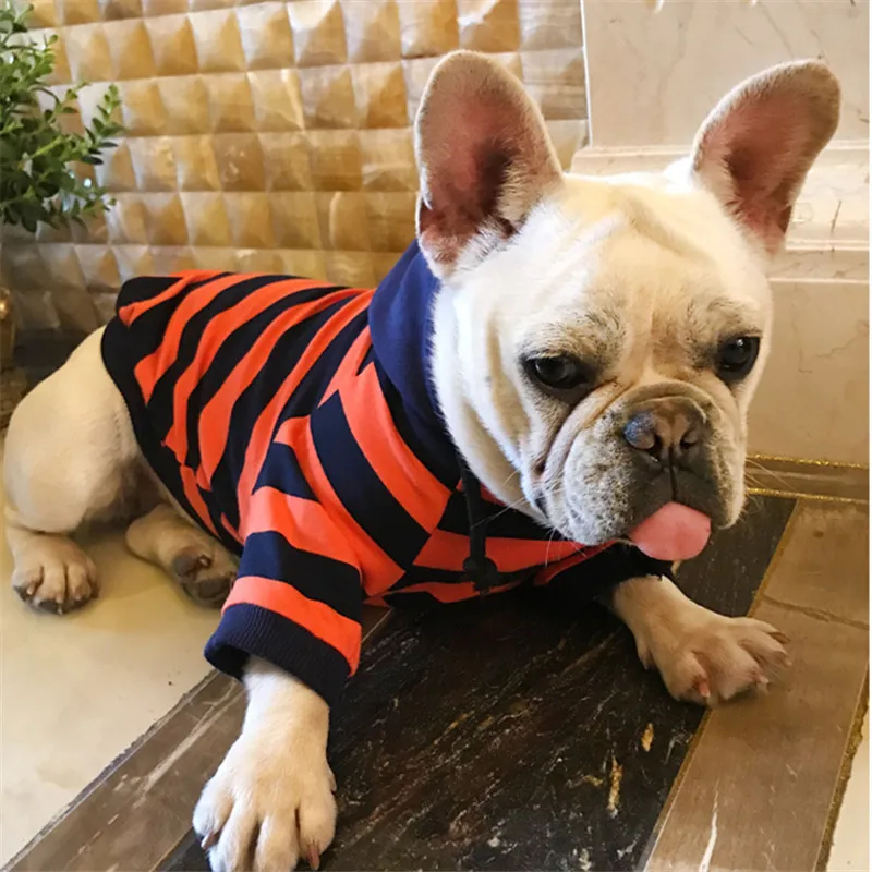 Bigeyedog для Мопсов, французских бульдогов одежда с принтом в виде собак зима-осень Весна собака толстовка с капюшоном пудель, Йорк ПЭТ Костюмы