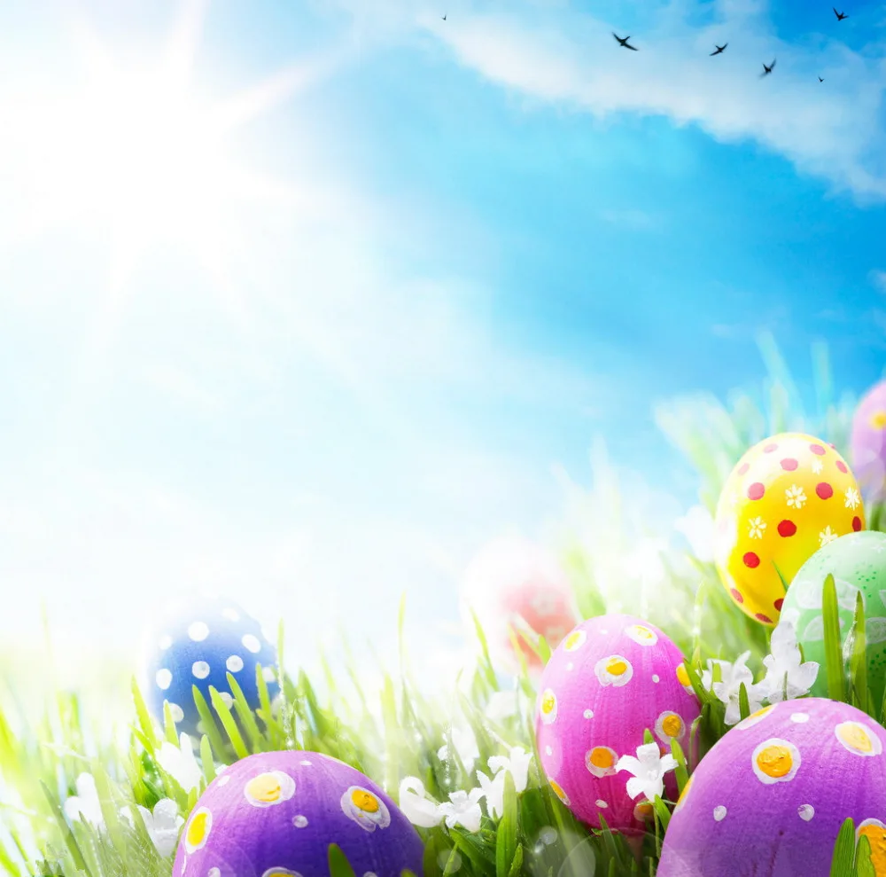 

SHANNY 10X10FT Easter theme Vinyl Photography Backdrop Prop Photo Studio Backgrounds FH-281