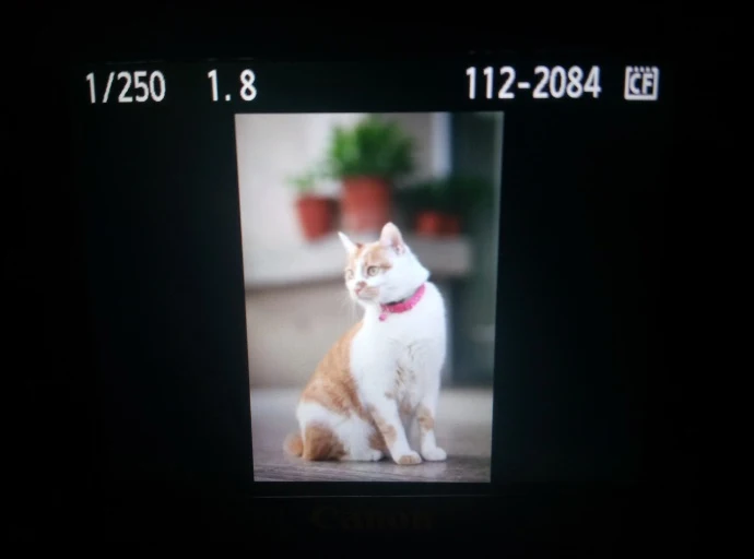YONGNUO YN85mm F1.8 AF/MF Средний телеобъектив для Canon, полный срок ручной фокусировки объектива для 7DII 650D 5 DIII EOS камеры