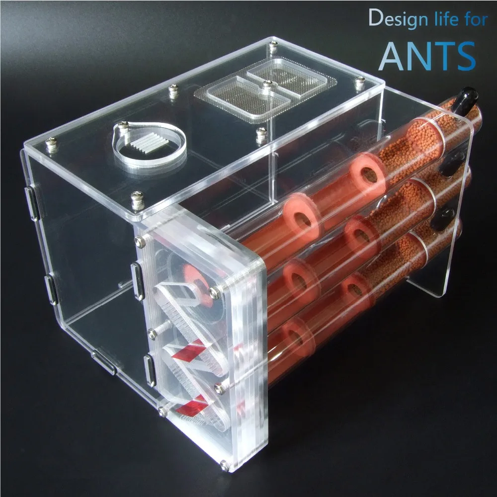 3pcs-bamboo-ant-nest (8)