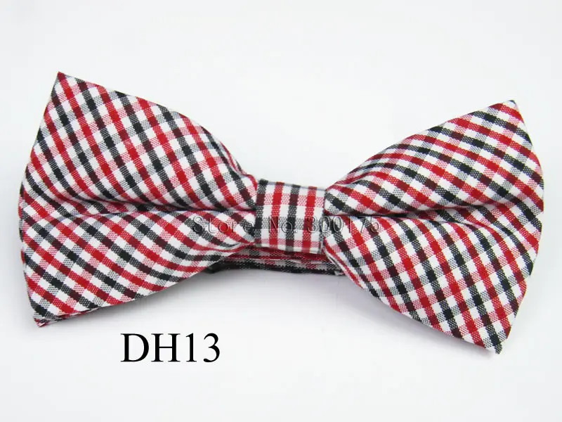 DH13