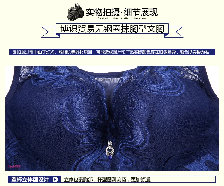 8196_13