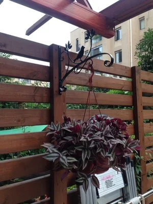 Луи мода металлический цветочный горшок корзина висячий крючок открытый балкон настенный стенд