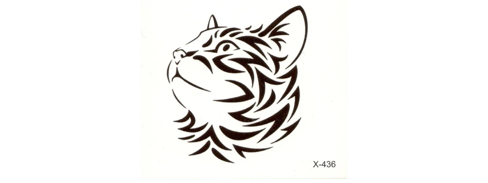 X436-DY_02